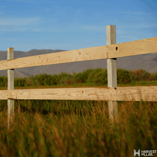Harvest Pillar Concrete Post - Image 5