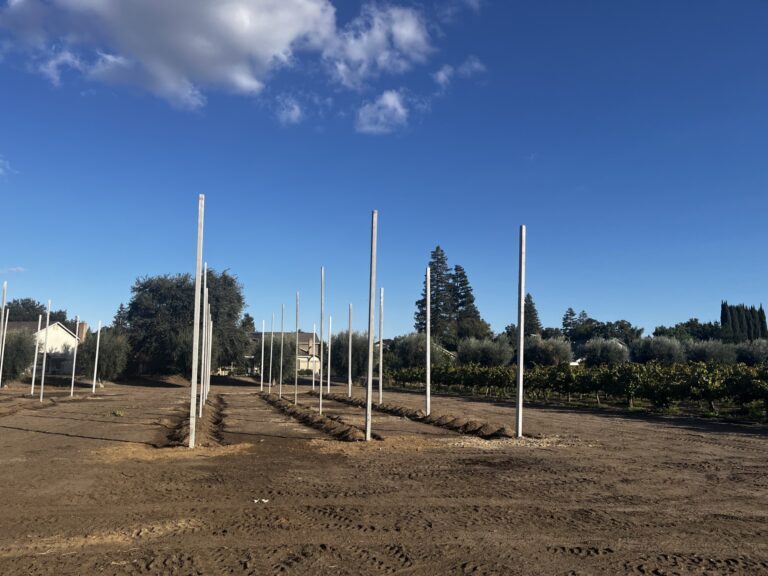 Harvest Pillar Hop Yard Installation